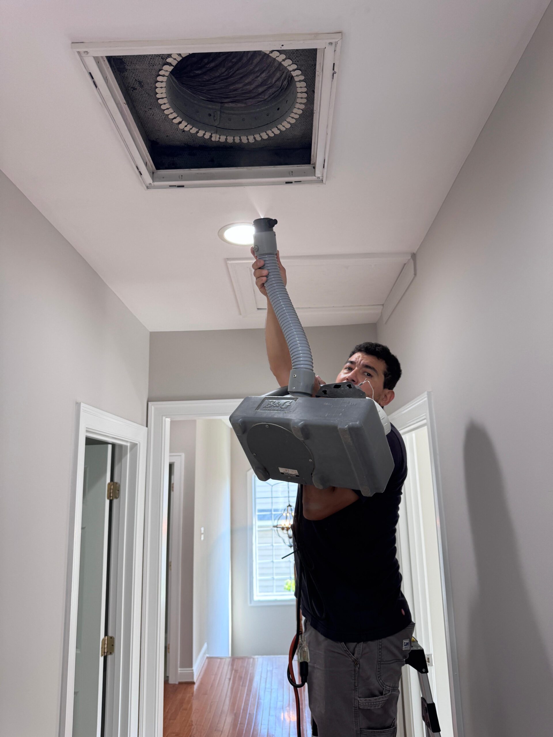 Mold Sanitizing & Disinfecting 